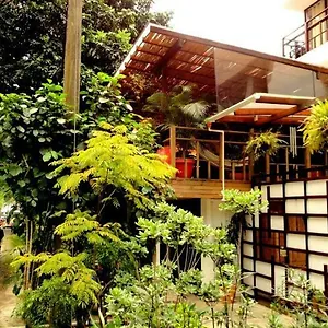  Auberge de jeunesse Casa Kiwi